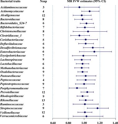 Genetically Predicted Causality of 28 Gut Microbiome Families and Type 2 Diabetes Mellitus Risk